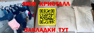 индика Кингисепп