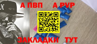 индика Кингисепп