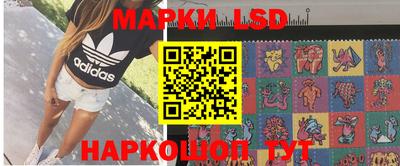 индика Кингисепп