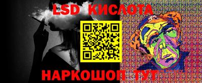 индика Кингисепп