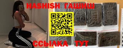 индика Кингисепп