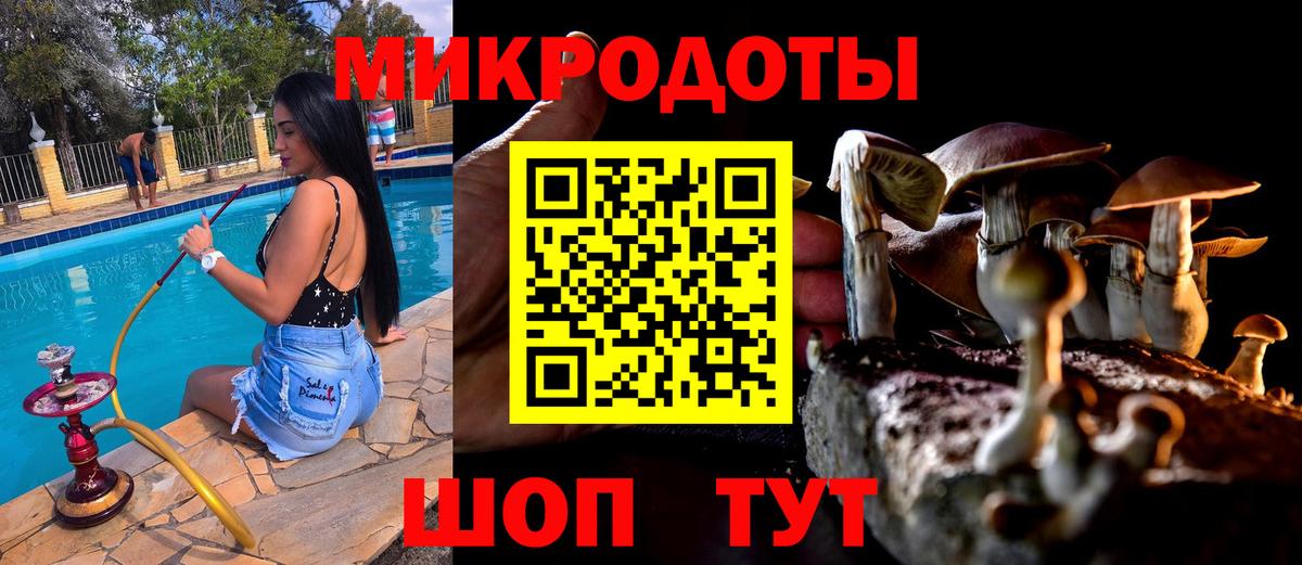 наркота  Вход с VPN  Будённовск  Псилоцибиновые грибы Cubensis 
